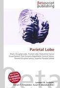 Parietal Lobe