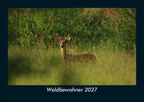 Waldbewohner 2027 Fotokalender DIN A5