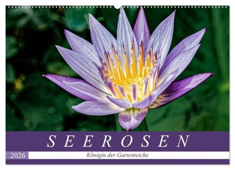 Seerosen - Königin der Gartenteiche (Wandkalender 2026 DIN A2 quer), CALVENDO Monatskalender
