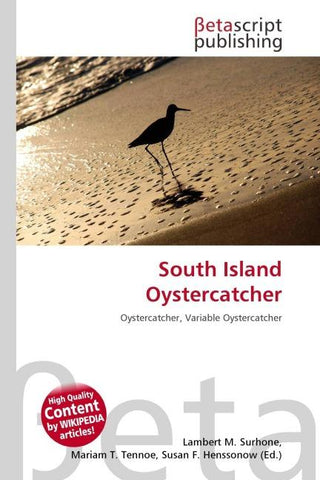 South Island Oystercatcher
