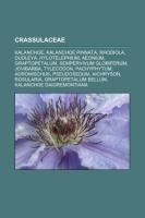 Crassulaceae