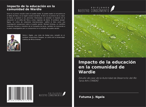 Impacto de la educación en la comunidad de Wardie