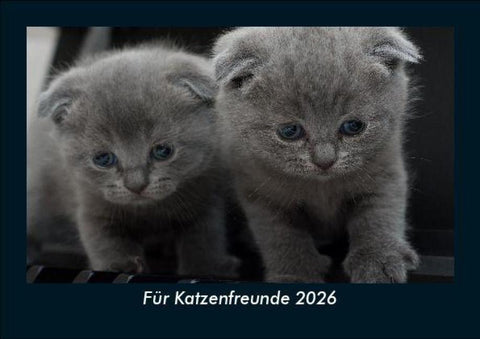 Für Katzenfreunde 2026 Fotokalender DIN A5