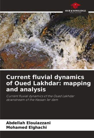 Current fluvial dynamics of Oued Lakhdar: mapping and analysis