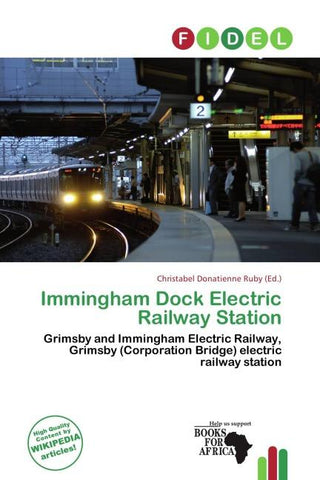 Immingham Dock Electric Railway Station