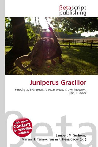 Juniperus Gracilior