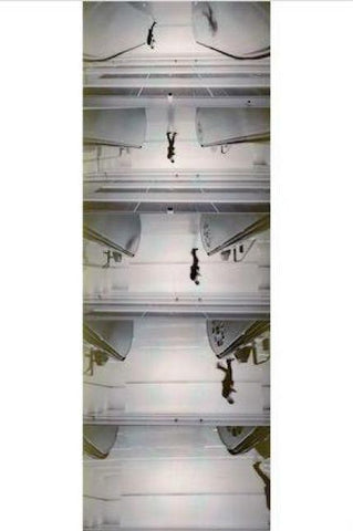 Peter Fischli. Addition, Subtraction, Multiplication