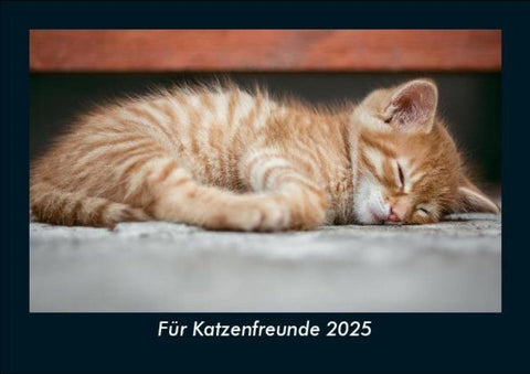 Für Katzenfreunde 2025 Fotokalender DIN A5