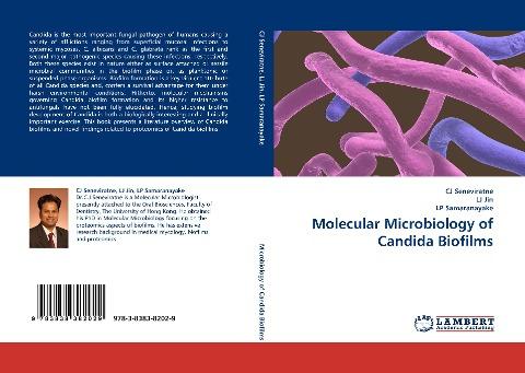 Molecular Microbiology of Candida Biofilms