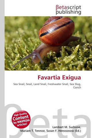 Favartia Exigua