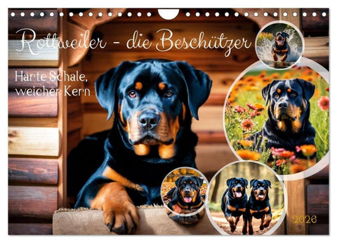 Rottweiler - die Beschützer (Wandkalender 2026 DIN A4 quer), CALVENDO Monatskalender