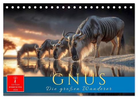 Gnus - die großen Wanderer (Tischkalender 2026 DIN A5 quer), CALVENDO Monatskalender