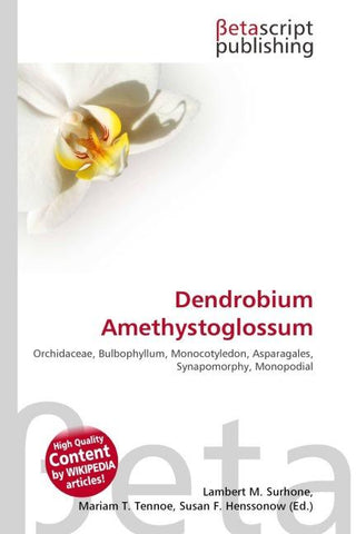 Dendrobium Amethystoglossum