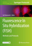 Fluorescence In Situ Hybridization (FISH)