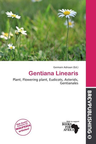 Gentiana Linearis