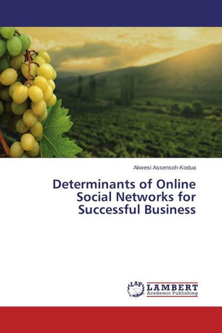 Determinants of Online Social Networks for Successful Business