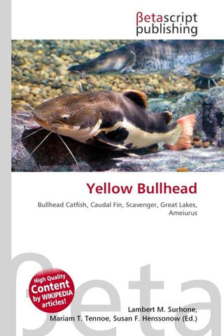 Yellow Bullhead
