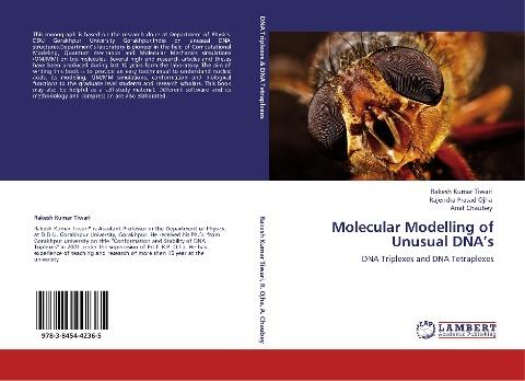 Molecular Modelling of Unusual DNA's