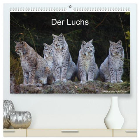 Der Luchs (hochwertiger Premium Wandkalender 2026 DIN A2 quer), Kunstdruck in Hochglanz