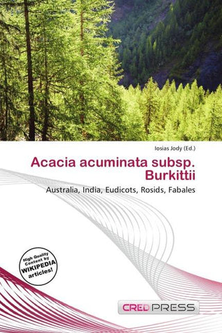 Acacia acuminata subsp. Burkittii