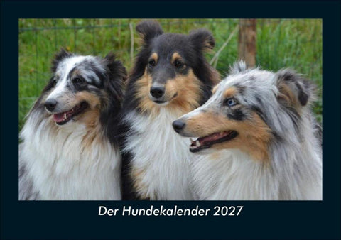 Der Hundekalender 2027 Fotokalender DIN A5