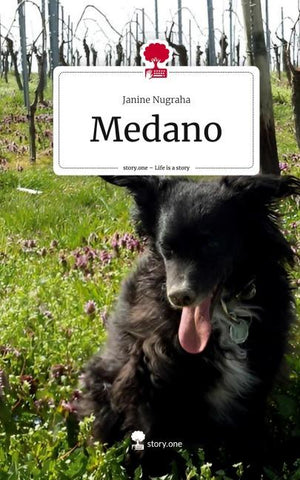 Medano. Life is a Story - story.one