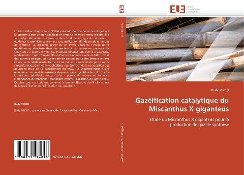 Gazéification catalytique du Miscanthus X giganteus