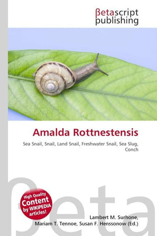 Amalda Rottnestensis