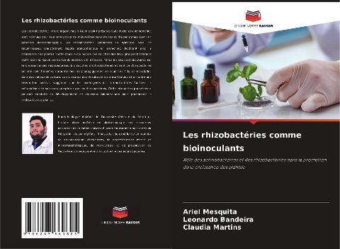 Les rhizobactéries comme bioinoculants