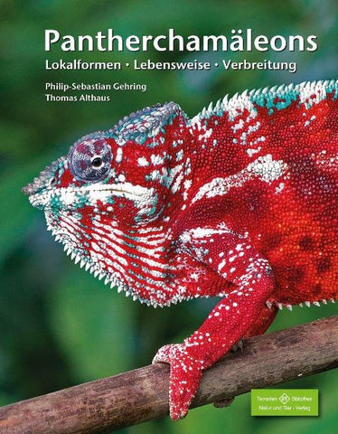 Pantherchamäleons