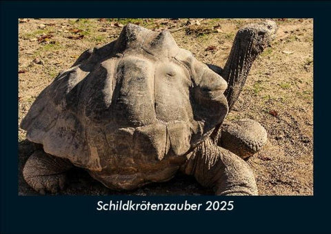 Schildkrötenzauber 2025 Fotokalender DIN A5