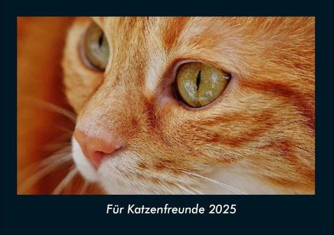 Für Katzenfreunde 2025 Fotokalender DIN A4