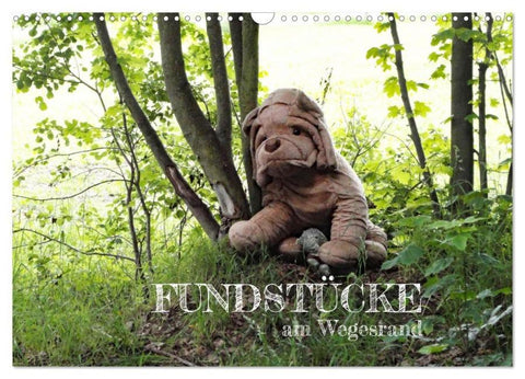 FUNDSTÜCKE am Wegesrand (Wandkalender 2026 DIN A3 quer), CALVENDO Monatskalender