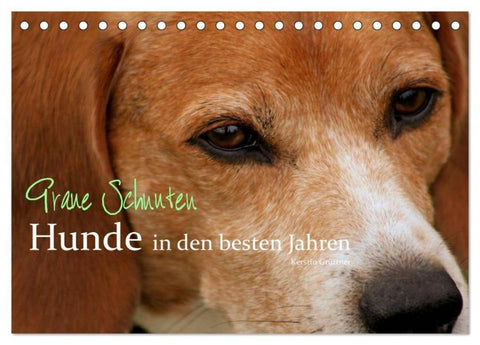Graue Schnuten - Hunde in den besten Jahren (Tischkalender 2026 DIN A5 quer), CALVENDO Monatskalender
