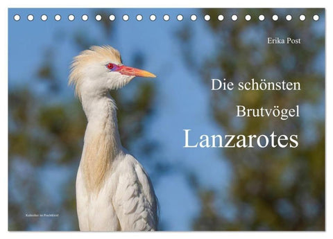 Die schönsten Brutvögel Lanzarotes (Tischkalender 2027 DIN A5 quer), CALVENDO Monatskalender
