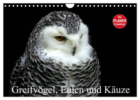 Greifvögel, Eulen und Käuze (Wandkalender 2026 DIN A4 quer), CALVENDO Monatskalender