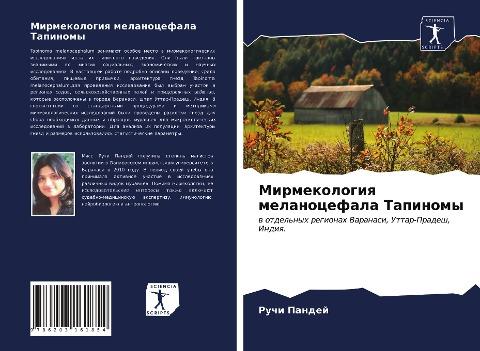 Mirmekologiq melanocefala Tapinomy