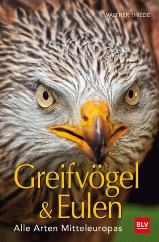 BLV Greifvögel & Eulen