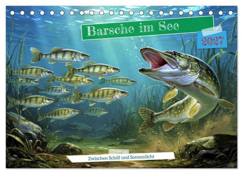 Barsche im See (Tischkalender 2027 DIN A5 quer), CALVENDO Monatskalender