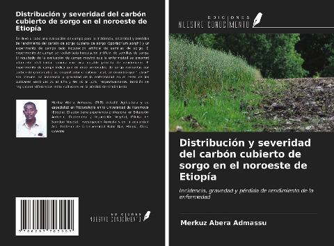 Distribución y severidad del carbón cubierto de sorgo en el noroeste de Etiopía