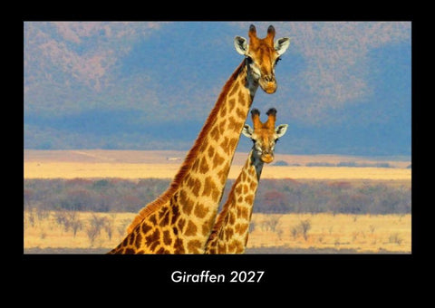Giraffen 2027 Fotokalender DIN A3