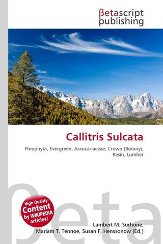 Callitris Sulcata