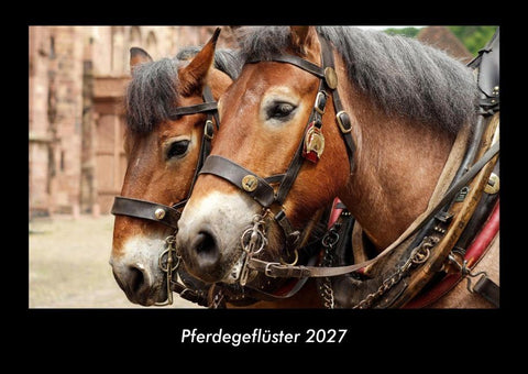 Pferdegeflüster 2027 Fotokalender DIN A3