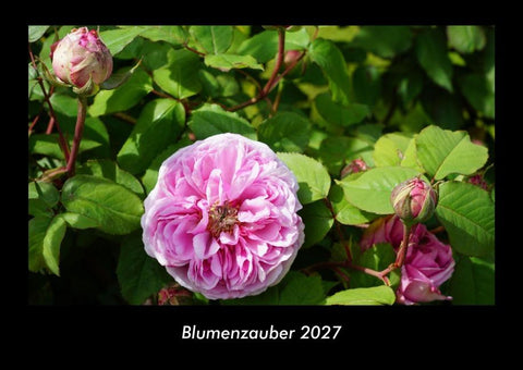 Blumenzauber 2027 Fotokalender DIN A3