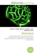 Brainstem
