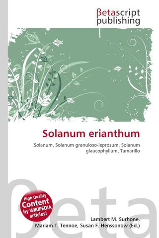 Solanum erianthum