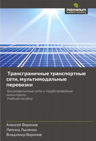 Transgranichnye transportnye seti, mul'timodal'nye perewozki