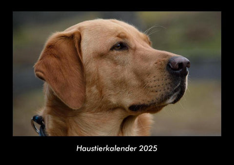 Haustierkalender 2025 Fotokalender DIN A3