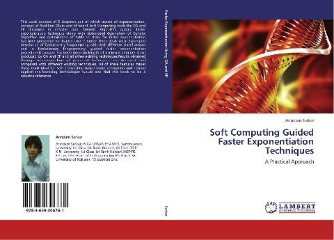 Soft Computing Guided Faster Exponentiation Techniques