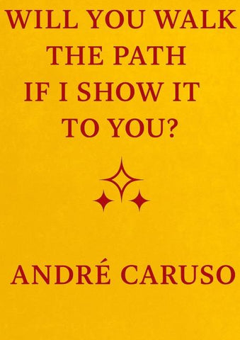 WILL YOU WALK THE PATH IF I SHOW IT TO YOU ?